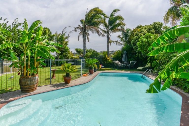 Photo of property in 31 Tom Parker Avenue, Marewa, Napier, 4110