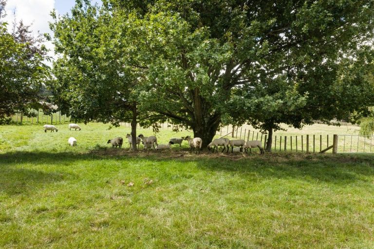 Photo of property in 512 Milson Line, Newbury, Palmerston North, 4478