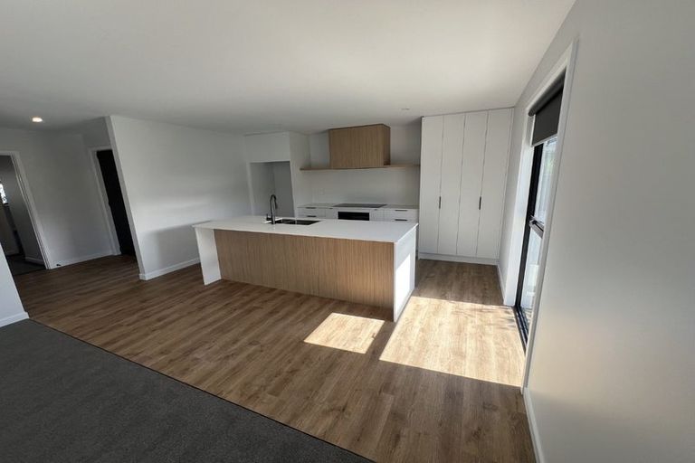 Photo of property in 119a Mcmurdo Street, Tinwald, Ashburton, 7700