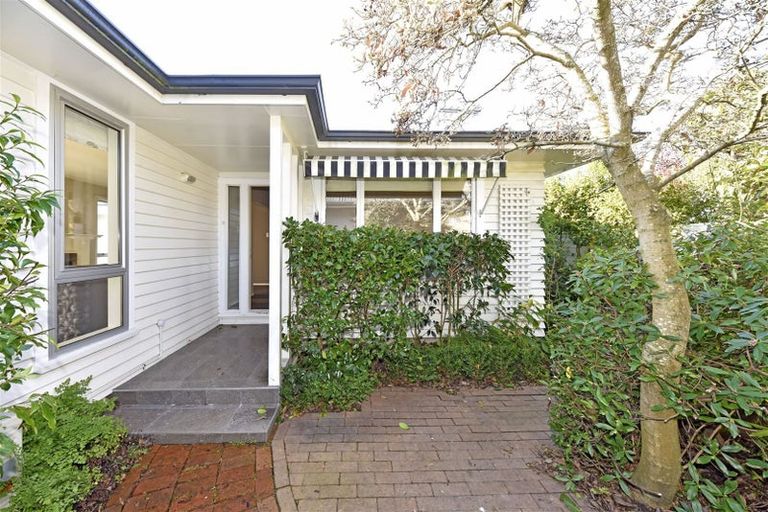 Photo of property in 1670 Cust Road, Cust, Rangiora, 7471