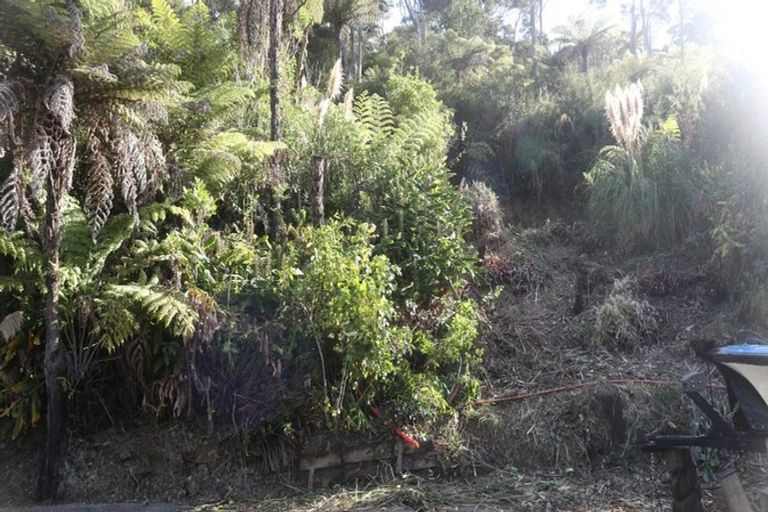 Photo of property in 223 Huia Road, Titirangi, Auckland, 0604