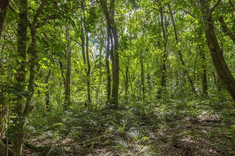 Photo of property in 103 Huia Street, Waikanae, 5391