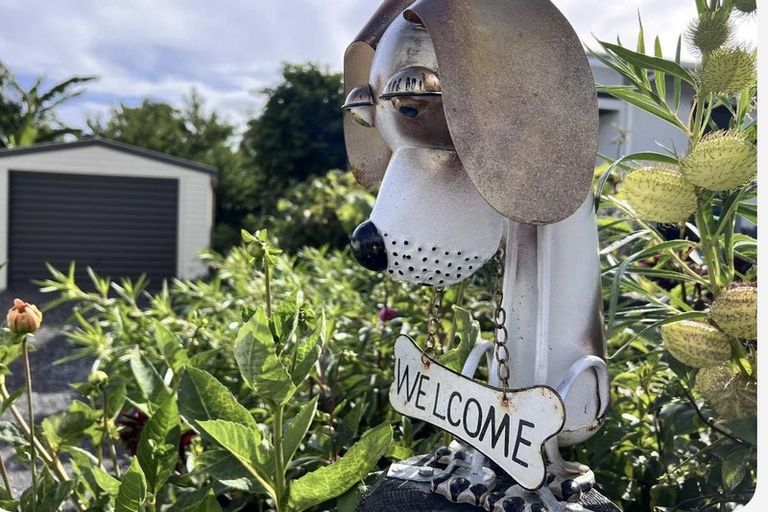 Photo of property in 65a Victoria Street, Coromandel, 3506