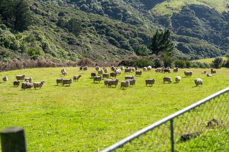 Photo of property in 92 Mount Cargill Road, Mount Cargill, Waitati, 9085