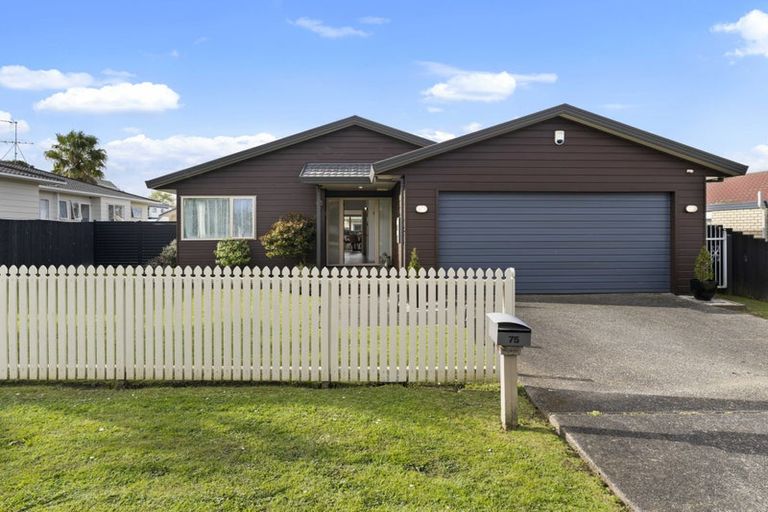 Photo of property in 75 Kamara Road, Glen Eden, Auckland, 0602