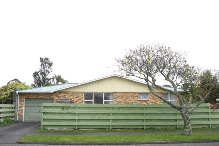 Photo of property in 87 Manu Crescent, Upper Vogeltown, New Plymouth, 4310