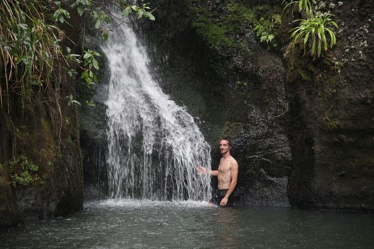 Photo of property in 132 Lone Kauri Road, Karekare, New Lynn, 0772