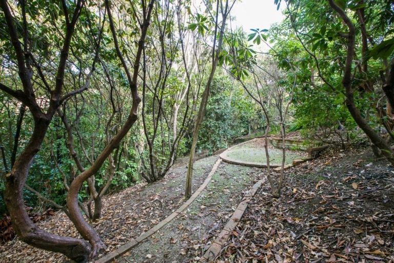 Photo of property in 74 Grendon Street, Maori Hill, Dunedin, 9010