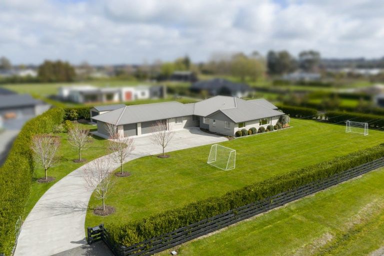 Photo of property in 25 Roots Street East, Feilding, 4702