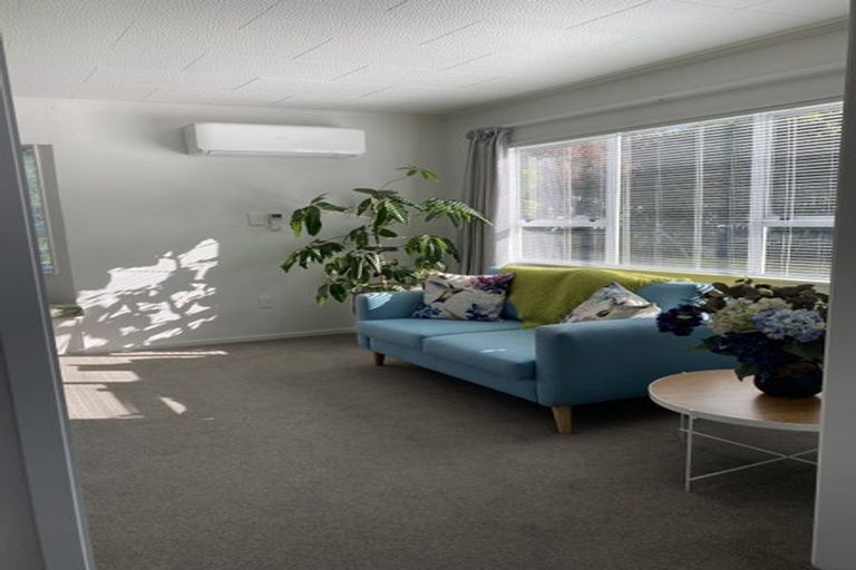 Photo of property in 12-14 Cork Street, Martinborough, 5711