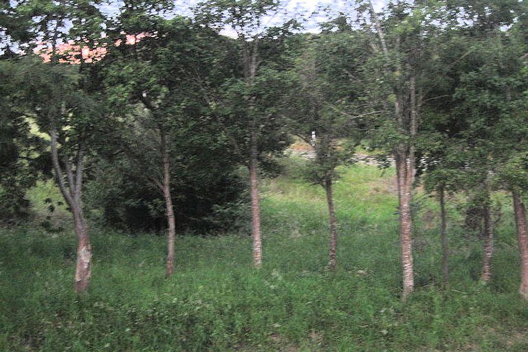 Photo of property in 11 Woodills Road, Akaroa, 7520