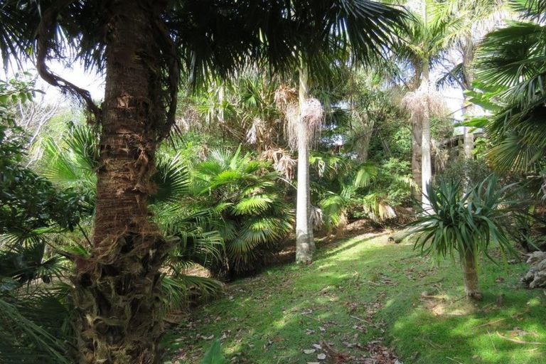 Photo of property in 44 Puriri Block Road, Kaingaroa, Kaitaia, 0482