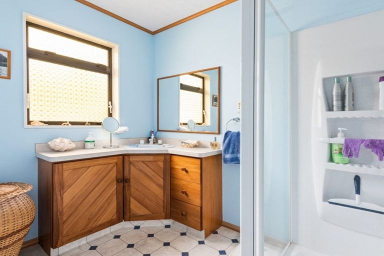 Photo of property in 21 Hillcrest Avenue, Witherlea, Blenheim, 7201