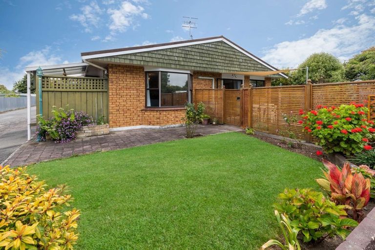 Photo of property in 56 Queen Street West, Levin, 5510