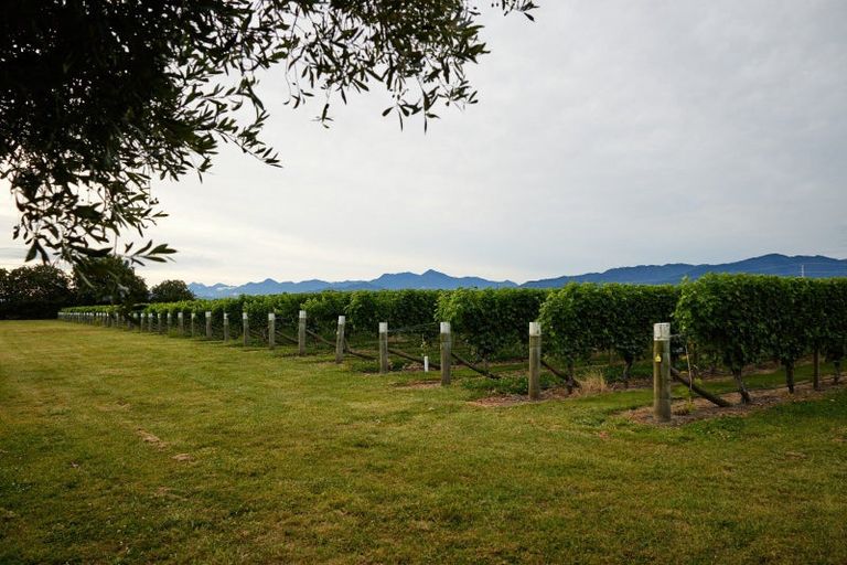 Photo of property in 22 Burnside Avenue, Springlands, Blenheim, 7272