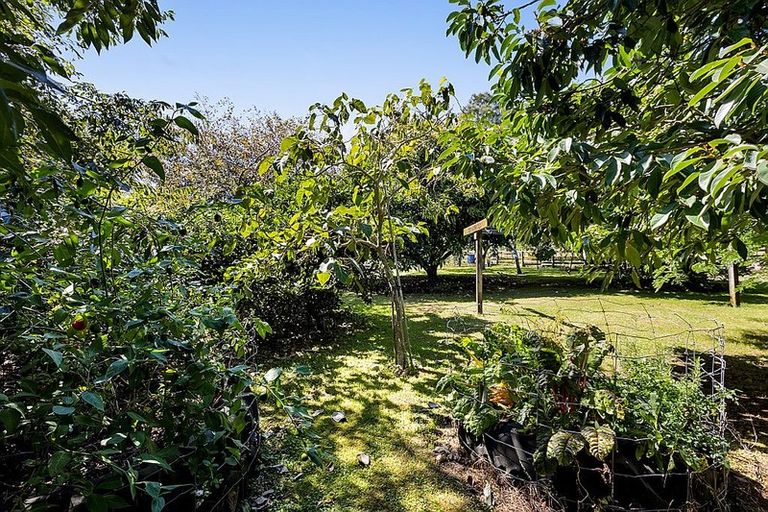Photo of property in 524 Tikorangi Road, Tikorangi, Waitara, 4383