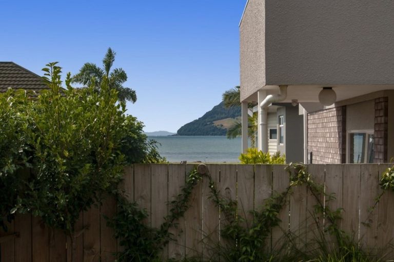 Photo of property in 43 Kulim Avenue, Otumoetai, Tauranga, 3110