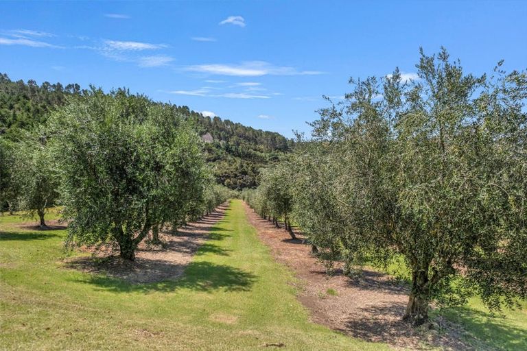 Photo of property in 79 Leccino Valley Road, Mangonui, 0494