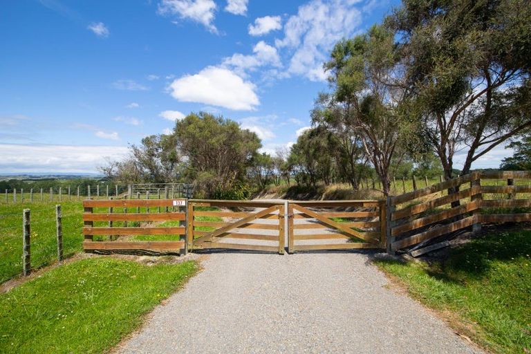 Photo of property in 137 Knorp Street, Halcombe, Feilding, 4779