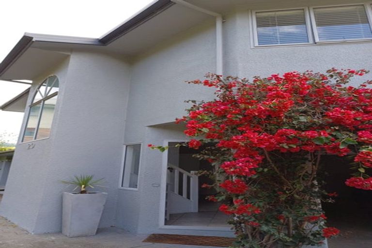 Photo of property in 20 Maire Street, Tahunanui, Nelson, 7011