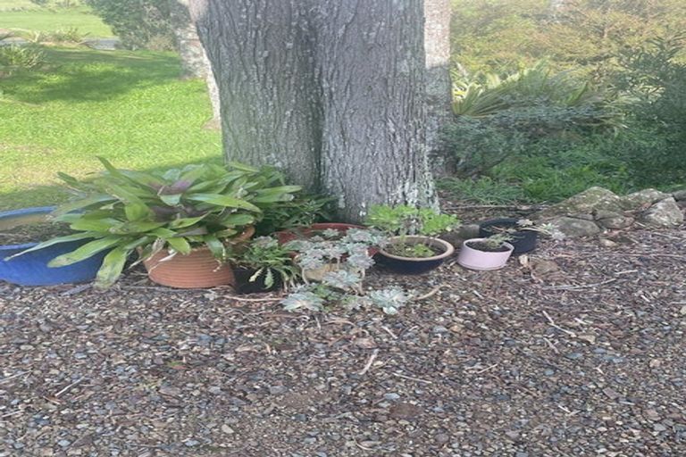 Photo of property in 47 Orchard Lane, Mangawhai, Kaiwaka, 0573