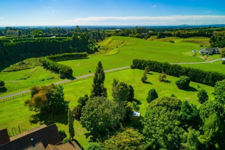Photo of property in 955 Te Matai Road, Te Ranga, Te Puke, 3188