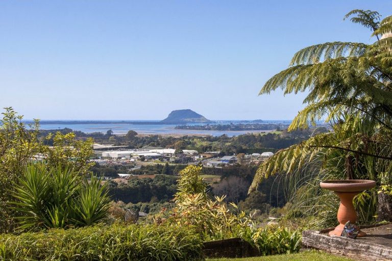 Photo of property in 186b Minden Road, Minden, Tauranga, 3176