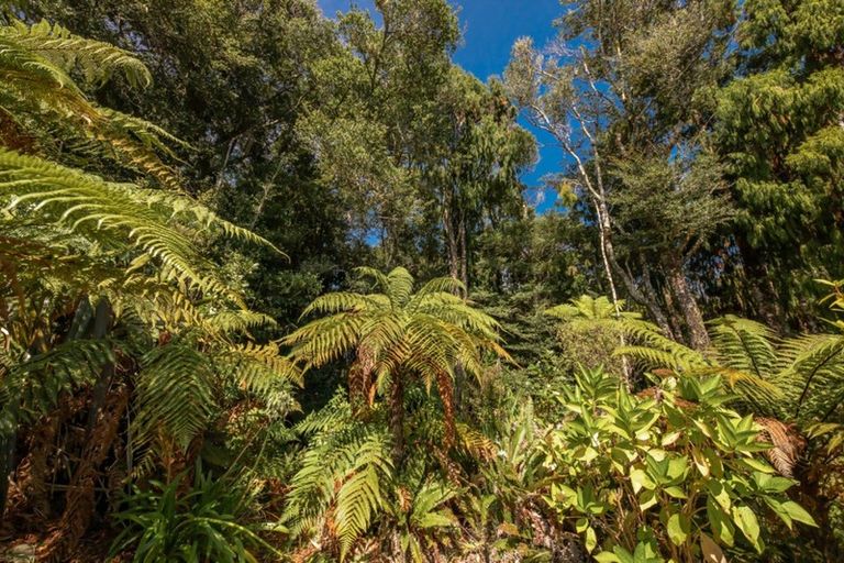 Photo of property in 17 Fairburn Place, Charleston, Cape Foulwind, 7892