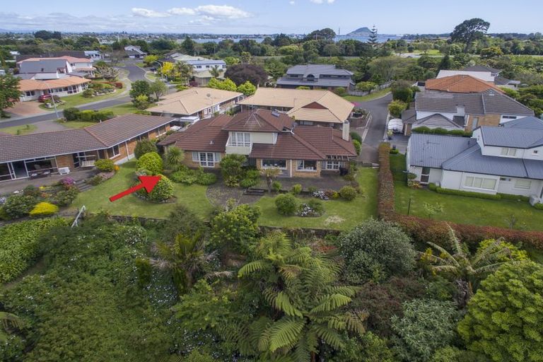 Photo of property in 6 Curlew Close, Maungatapu, Tauranga, 3112