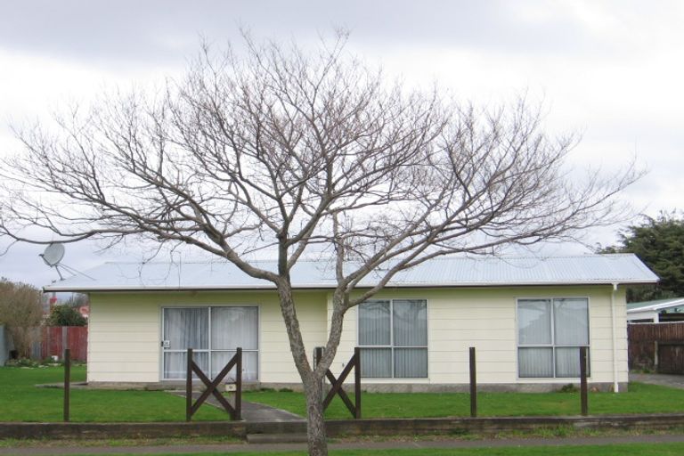 Photo of property in 9 Adkin Avenue, Levin, 5510