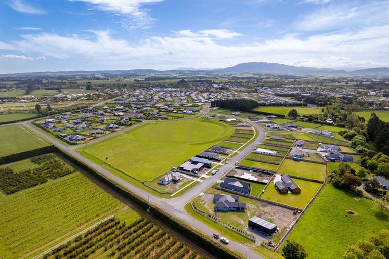 Photo of property in 36 Plover Avenue, Amberley, 7410