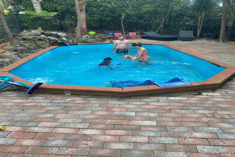 Photo of property in 341 Upper Harbour Drive, Greenhithe, Auckland, 0632