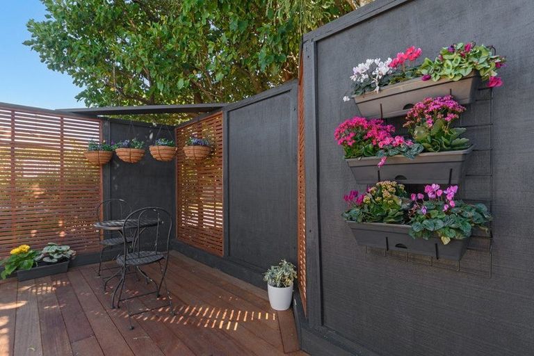 Photo of property in 24 Warwick Place, Brookfield, Tauranga, 3110