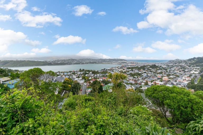 Photo of property in 108a Rakau Road, Hataitai, Wellington, 6021