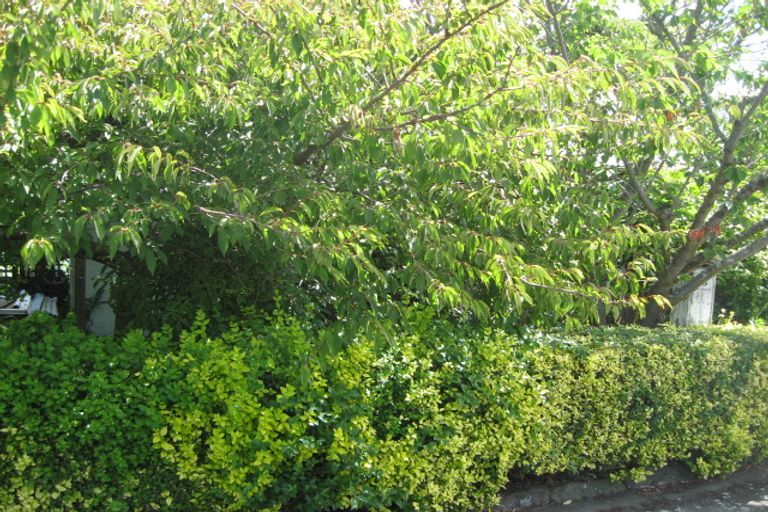 Photo of property in 15 Dover Street, St Albans, Christchurch, 8014