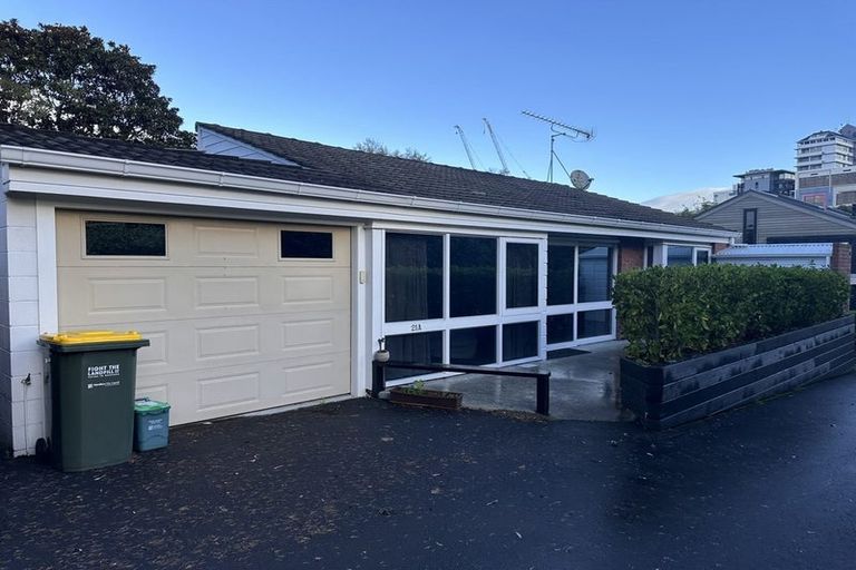 Photo of property in 21a Opoia Road, Hamilton East, Hamilton, 3216