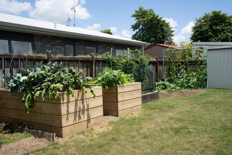 Photo of property in 6 Alley Place, Leamington, Cambridge, 3432