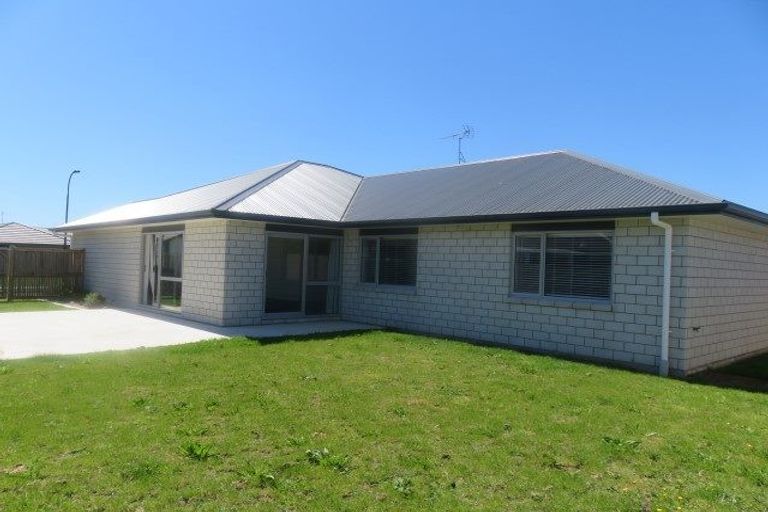 Photo of property in 14 Ladeira Place, Fitzroy, Hamilton, 3206