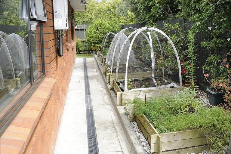 Photo of property in 87 Mcgregor Street, Milson, Palmerston North, 4414