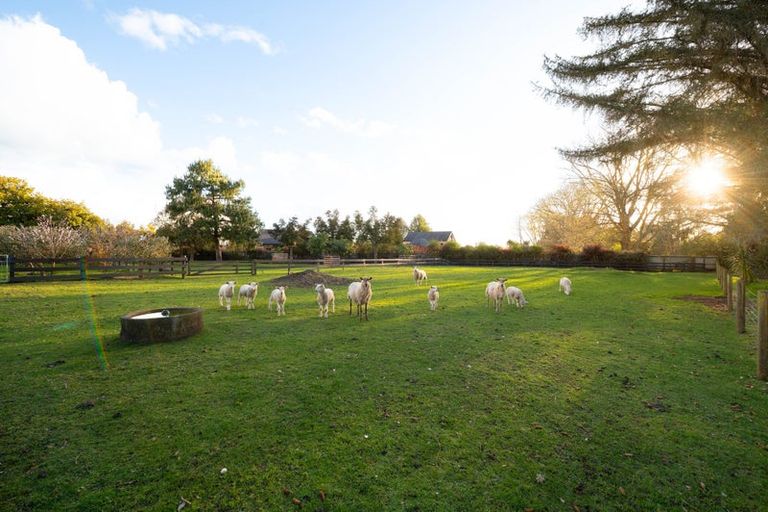 Photo of property in 191b Tauwhare Road, Tamahere, Hamilton, 3283