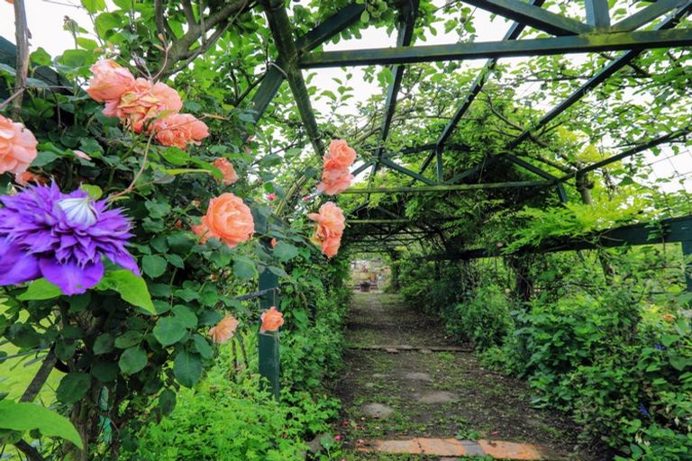 Photo of property in 37a Gillies Crescent, Waimarama, 4294