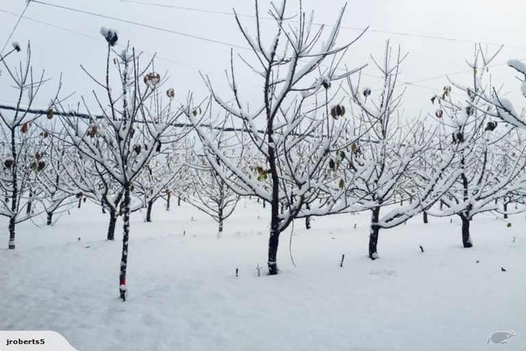 Photo of property in 66 Gladsmuir Road, Queensberry, Cromwell, 9383