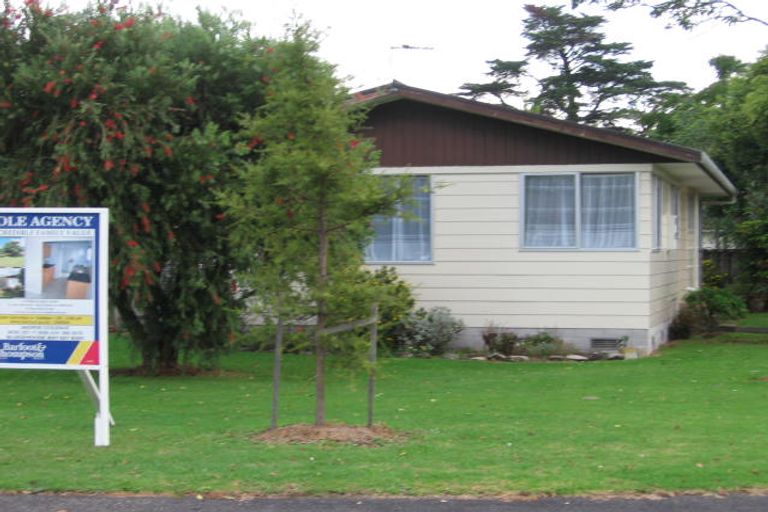 Photo of property in 57 Tabitha Crescent, Henderson, Auckland, 0612