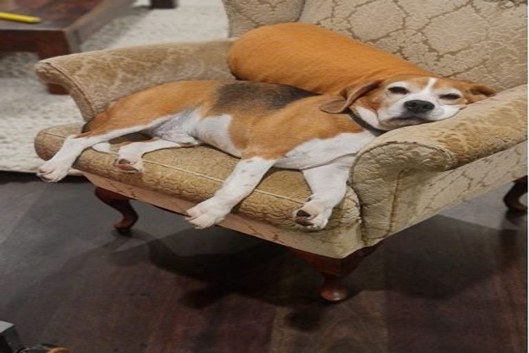 Photo of property in 350 Horokiwi Road, Horokiwi, Wellington, 5016