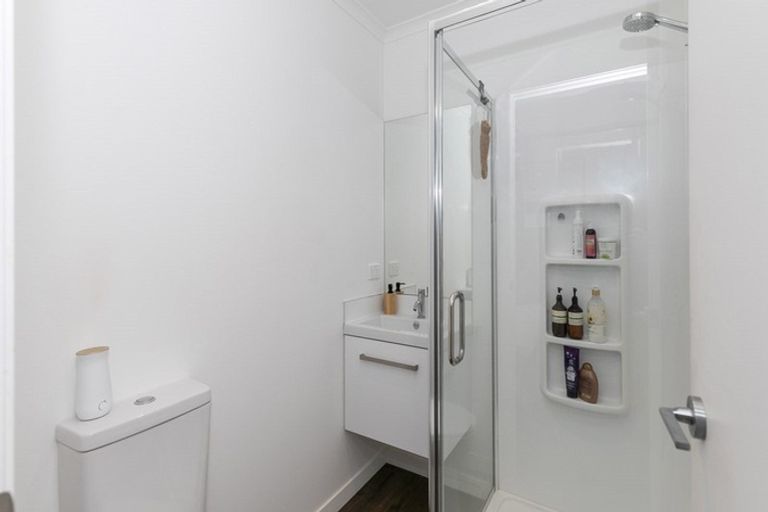 Photo of property in 52 Lulu Avenue, Chartwell, Hamilton, 3210