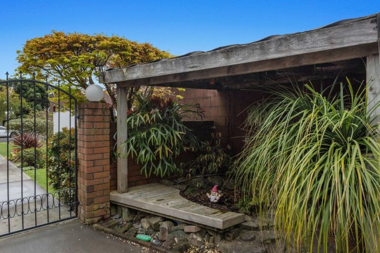 Photo of property in 17 Hikurangi Street, Whakatane, 3120