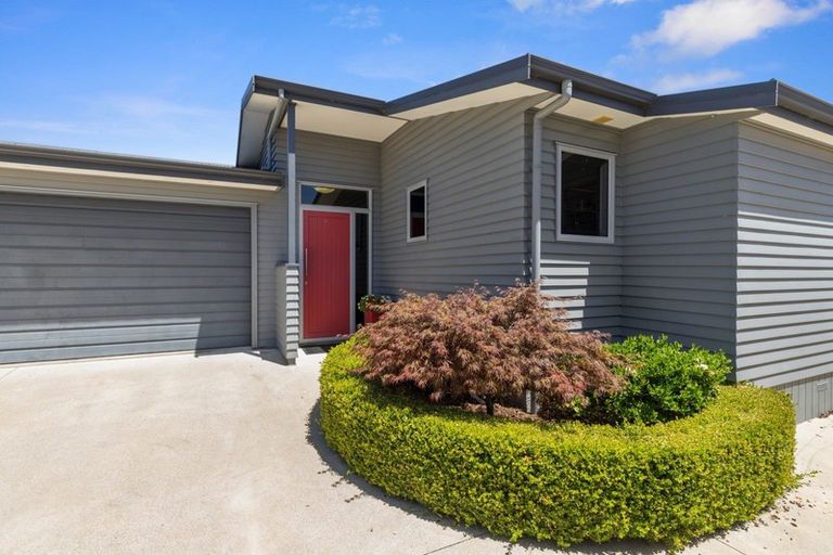 Photo of property in 95 Coronation Road, Morrinsville, 3300