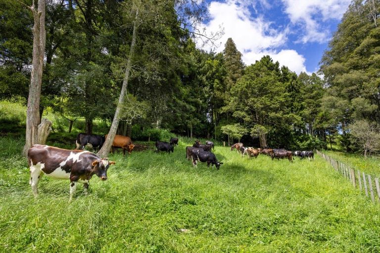 Photo of property in 467a Te Mata Road, Raglan, 3295
