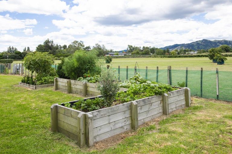 Photo of property in 547 Nelson Road, Lytton West, Gisborne, 4071