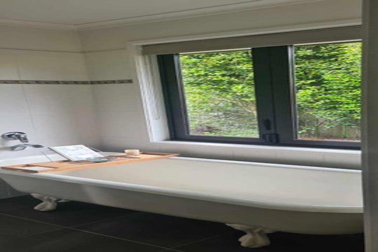 Photo of property in 763 White Pine Bush Road, White Pine Bush, Whakatane, 3191